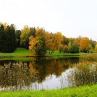Осень в парке :: Хватова Марина 