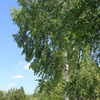 Двое :: Наталья Лунева Двое :: Наталья Лунева