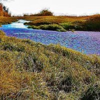 Холодна осенняя  вода ... :: Владимир 