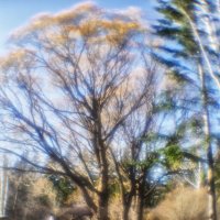 Монокль :: SanSan 