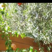 113 (70) :: CLOSE WAYS ALL