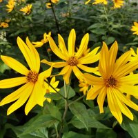 Это было в августе :: Галина Минчук