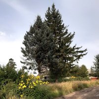 Это было в августе :: Галина Минчук Это было в августе :: Галина Минчук