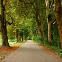 И чуточку осень задела крылом.. :: Юрий. Шмаков И чуточку осень задела крылом.. :: Юрий. Шмаков