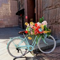 *** :: Любимова Ольга 