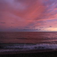 Вечер в розовом :: Ольга 