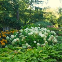 По дорожкам зоопарка в солнечный день сентября 2025 :: Aida10 