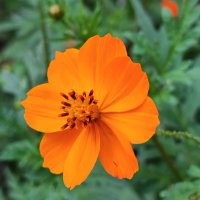 ,,, :: Сергей Тимоновский