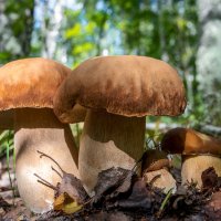 Семья... :: Влад Никишин