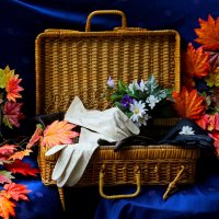 Бабушкины перчатки :: Юрий. Шмаков Бабушкины перчатки :: Юрий. Шмаков