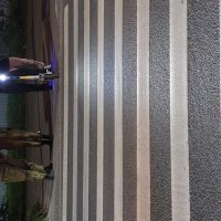 Зебра для русской пары и для мигранской :: Максим Егоров