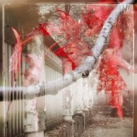 Осенние мотивы :: Руслан 