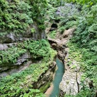 ГУАМСКОЕ УЩЕЛЬЕ :: Tata Wolf