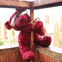 Плюшевый прометей :: Александр Чашин