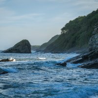 ... :: Жора Житников