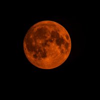 Кровавая Луна (07.09.2025г.) :: Sergey (Apg) Кровавая Луна (07.09.2025г.) :: Sergey (Apg)