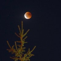 Завершение затмения :: Сеня Белгородский