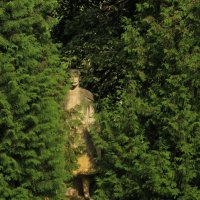 стой, кто идет :) :: ИРЭН@ .