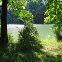 Сентябрь :: Рита Симонова Сентябрь :: Рита Симонова