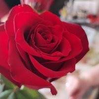 ,,, :: Сергей Тимоновский