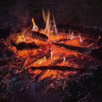 *** :: Денис Бочкарёв