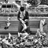 ... :: Владимир 