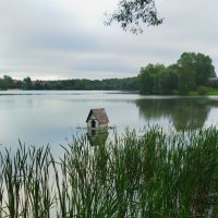 Утиный домик :: Марина Виноградова Утиный домик :: Марина Виноградова