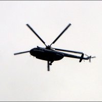 стрекозёл над Невой :: zavitok *