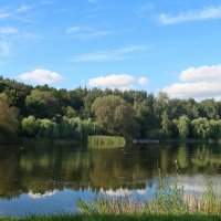 В осеннем парке :: Дмитрий И_