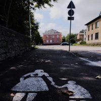 Пешеходы :: Александр Чашин