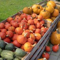 Урожай :: vladimir 