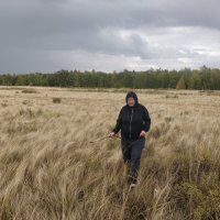 Дождливая погода :: Андрей Хлопонин Дождливая погода :: Андрей Хлопонин