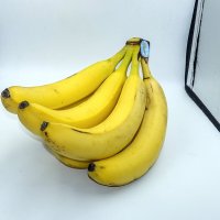 Пора покупать фотобокс побольше) :: Валерий Иванович