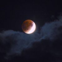 ... :: Dmitry Ozersky ... :: Dmitry Ozersky