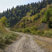 По ущелью в сентябре :: LudMila 