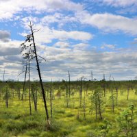 Там, где начинается Западная Сибирь :: Галина Ильясова