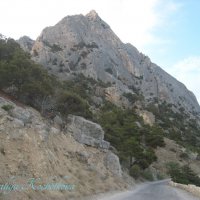 Природа Крыма :: Amazing Cosmea