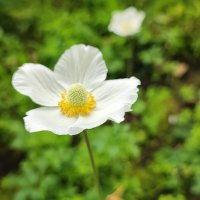 ,,, :: Сергей Тимоновский