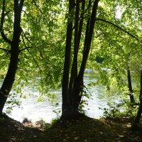 Вода в реке Остановилась не дыша... Прохладой осень улыбнулась. Ёса -но Бусон... :: Галина Вода в реке Остановилась не дыша... Прохладой осень улыбнулась. Ёса -но Бусон... :: Галина