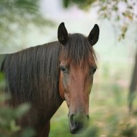 Знакомство :: liudmila drake