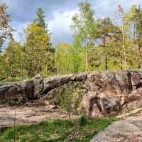 Природа Батарейной горы. :: Лия ☼ Природа Батарейной горы. :: Лия ☼