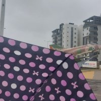 13  ОПЕН (320) :: OPEN WAYS ALL