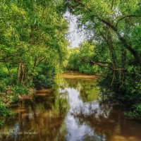 Яуза :: Игорь Сарапулов