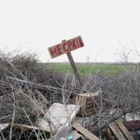 Так бы сразу и сказали... :: Gen Vel Так бы сразу и сказали... :: Gen Vel