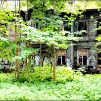 Дача Ф. М. Амброжевича, Архитектор Рожанский... :: Сергей Дача Ф. М. Амброжевича, Архитектор Рожанский... :: Сергей