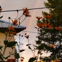 краски сентября :: Ольга Конькова