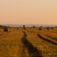 Полюшко :: Натали Королева