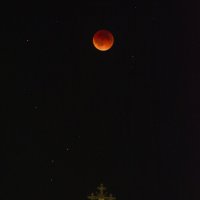 багряная :: Виталий Емельянов