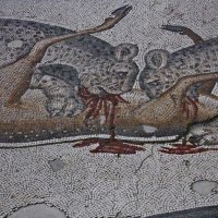 Стамбул - 33 :: Артём Кузнецов