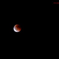 Лунное затмение :: Алексей Харькин
